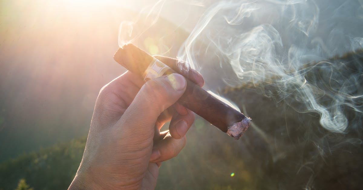découvrez l'univers raffiné des cigares : histoire, conseils de dégustation, sélection des meilleurs cigares et accessoires indispensables pour apprécier chaque moment. idéal pour amateurs et connaisseurs.
