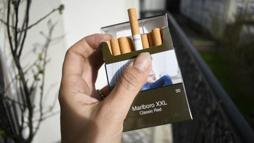 découvrez les principaux avantages d’acheter des cigares en 2025 : qualité, tendances, économies et conseils pour un choix éclairé. profitez de nos astuces d’experts pour savourer un cigare exceptionnel cette année.