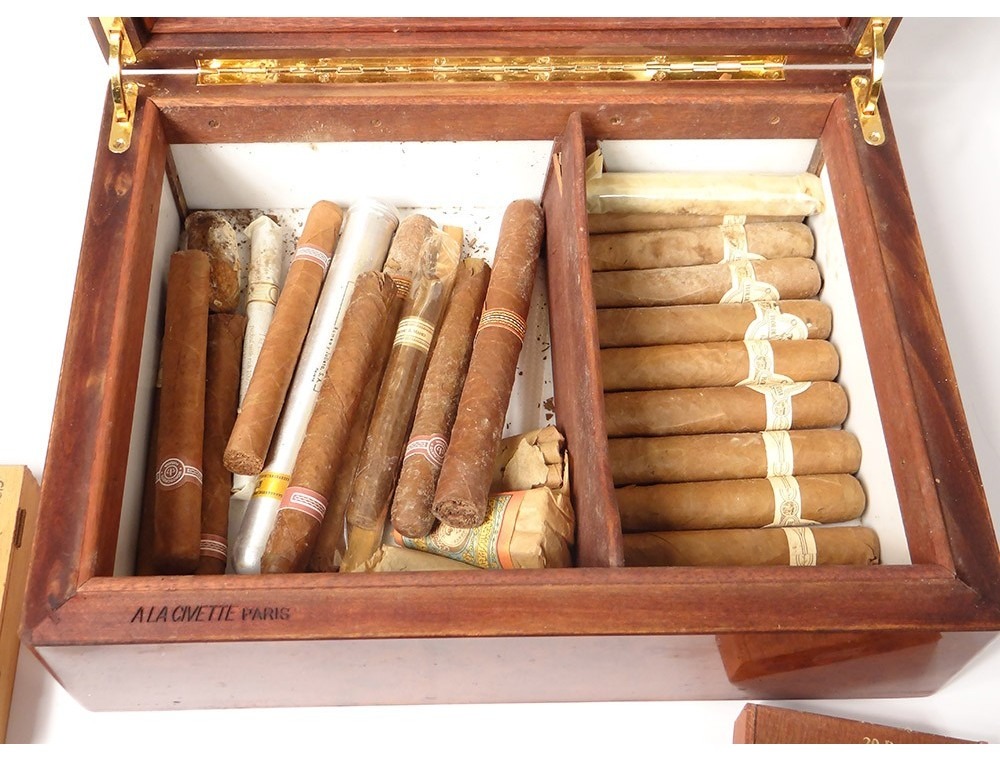découvrez les meilleures caves à cigares à paris en 2025 : adresses, conseils, sélection de cigares rares et ambiance raffinée pour amateurs et passionnés.