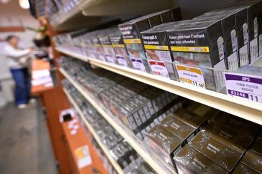 découvrez nos conseils pour choisir votre premier cigare en 2025 : variétés, critères à considérer et astuces pour débutants afin de profiter pleinement de cette expérience unique.