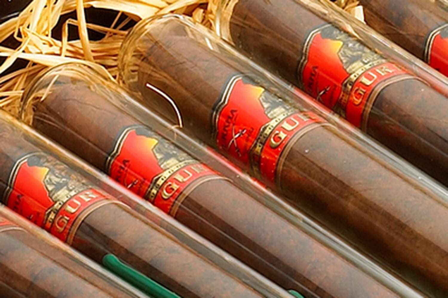 découvrez quel est le cigare le plus cher en 2025, son prix impressionnant, ses caractéristiques uniques et pourquoi il fascine les amateurs du monde entier.