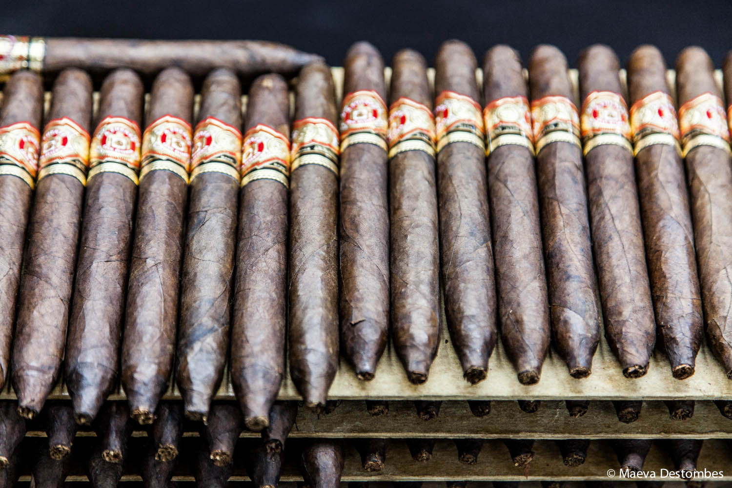 découvrez les meilleurs cigares de république dominicaine : une sélection raffinée, issu d'un savoir-faire artisanal et de feuilles de qualité, pour une expérience de dégustation incomparable.