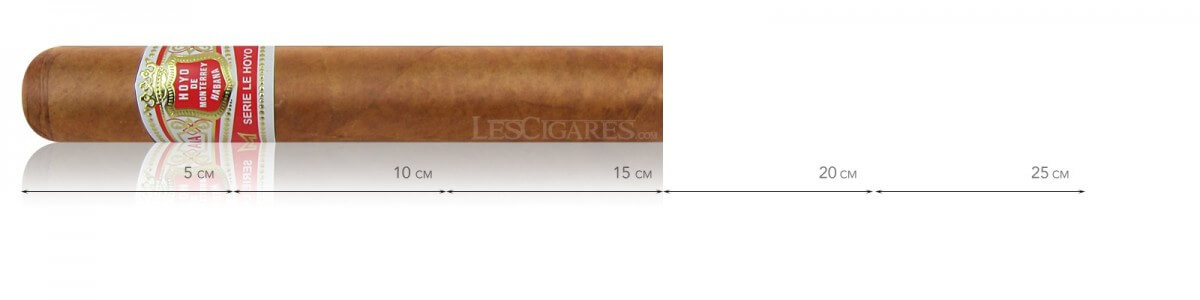 découvrez le cigare hoyo de monterrey, une référence cubaine appréciée pour ses arômes riches, sa douceur élégante et sa fabrication artisanale. idéal pour les amateurs à la recherche d'une expérience de dégustation raffinée.