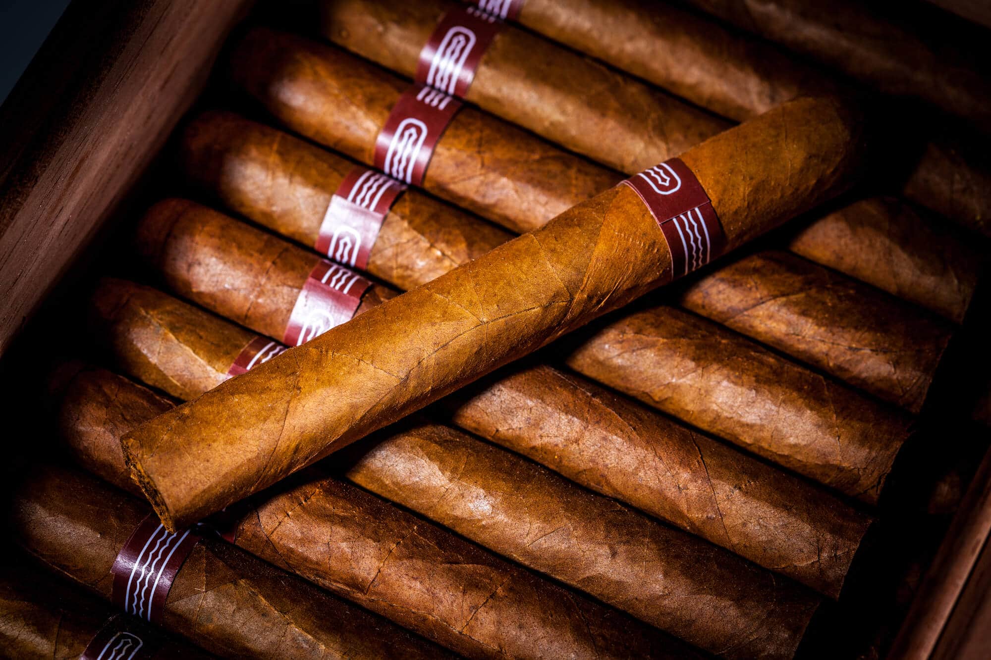 découvrez notre sélection de cigares premium à dunkerque, pour les amateurs de saveurs riches et authentiques. profitez de conseils experts et d'un service personnalisé.