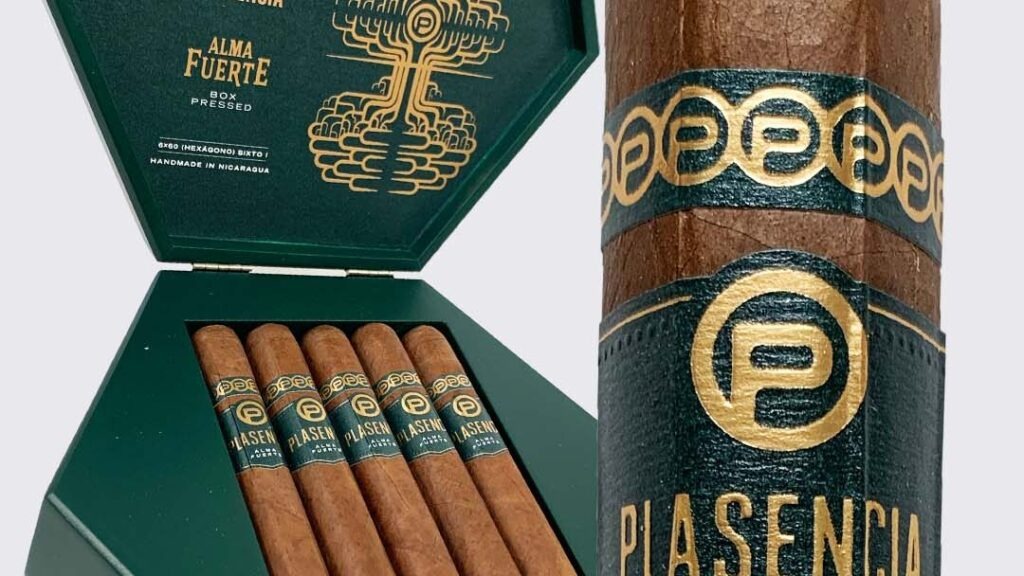 découvrez plasencia alma fuerte, un vin d'exception alliant puissance et élégance, parfait pour les amateurs de saveurs intenses et authentiques.